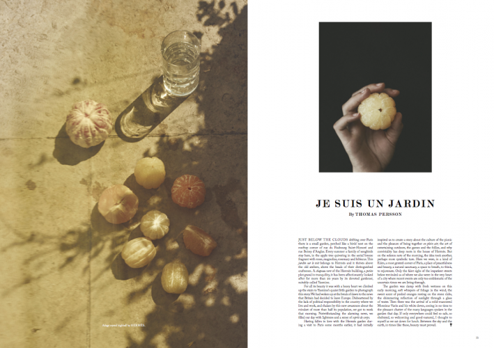 LUNCHEON MAGAZINE / ANNEMARIEKE VAN DRIMMELEN - 8